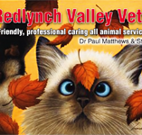 Redlynch Valley Vets - Vets Perth