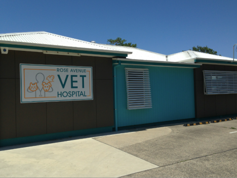 Rose Avenue Veterinary Hospital - Vets Perth 1