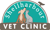 Book Shellharbour Accommodation Vacations Vets Perth Vets Perth