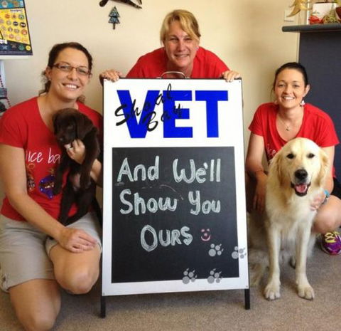 Shoal Bay Veterinary Clinic - Vets Perth 4