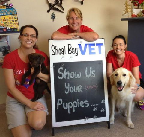 Shoal Bay Veterinary Clinic - Vets Perth 5