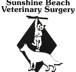 Sunshine Beach Veterinary Surgery - Vets Perth