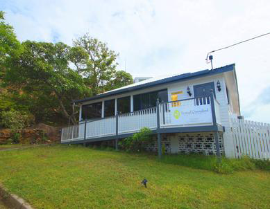 Tropical Queensland Cat Clinic - Vets Perth 1