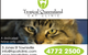 Tropical Queensland Cat Clinic - thumb 6