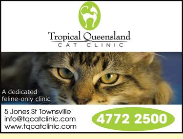 Tropical Queensland Cat Clinic - Vets Perth 6