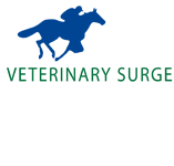 Turner Veronica Veterinary Surgeon - Vets Perth