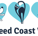 Tweed Coast Vet - Vets Perth