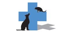 Lower Barrington TAS Vets Perth
