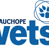 Wauchope Vets - Vets Perth