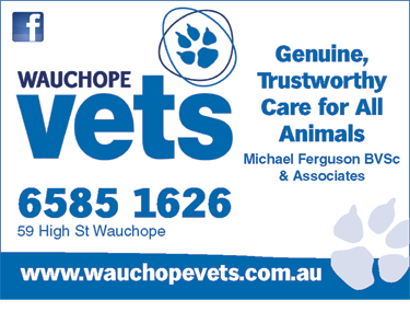 Wauchope Vets - Vets Perth 2