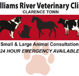 Williams River Veterinary Clinic - Vets Perth