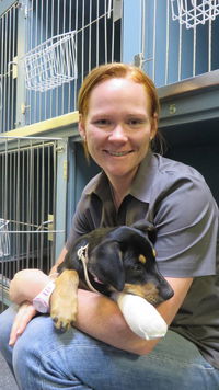 Grafton Veterinary Clinic