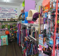 Doggy Days - Vets Perth