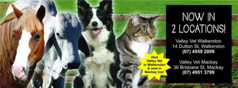 ONeil Cameron Dr Valley Vet Surgery - Vets Perth 3