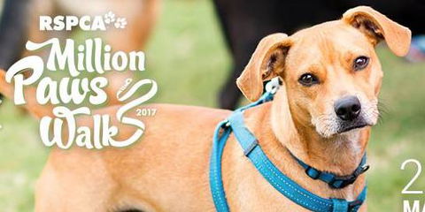 McPherson Kim Dr Valley Vet Surgery - Vets Perth 10