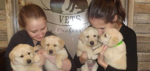 Busby David Dr - Vets Perth 1