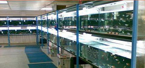 Pets ‘R’ Us - Vets Perth 0