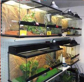 Pets ‘R’ Us - Vets Perth 3