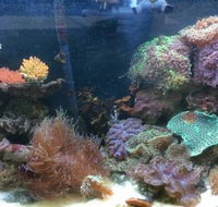 Rocky Pet World - Vets Perth