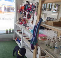 Scratch  Sniff - Vets Perth